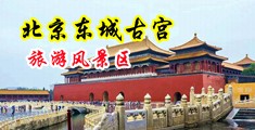 大鸡巴和女人操逼中国北京-东城古宫旅游风景区